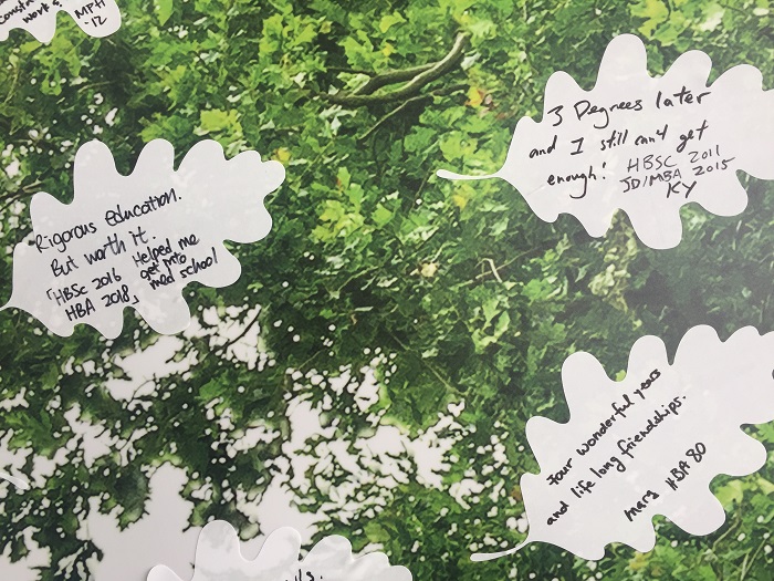 Alumni write their memorable U of T moments on an oak leaf and post it on a wall featuring the image of an oak tree. Special memories of U of T days. Photo by Ashley Meehan.