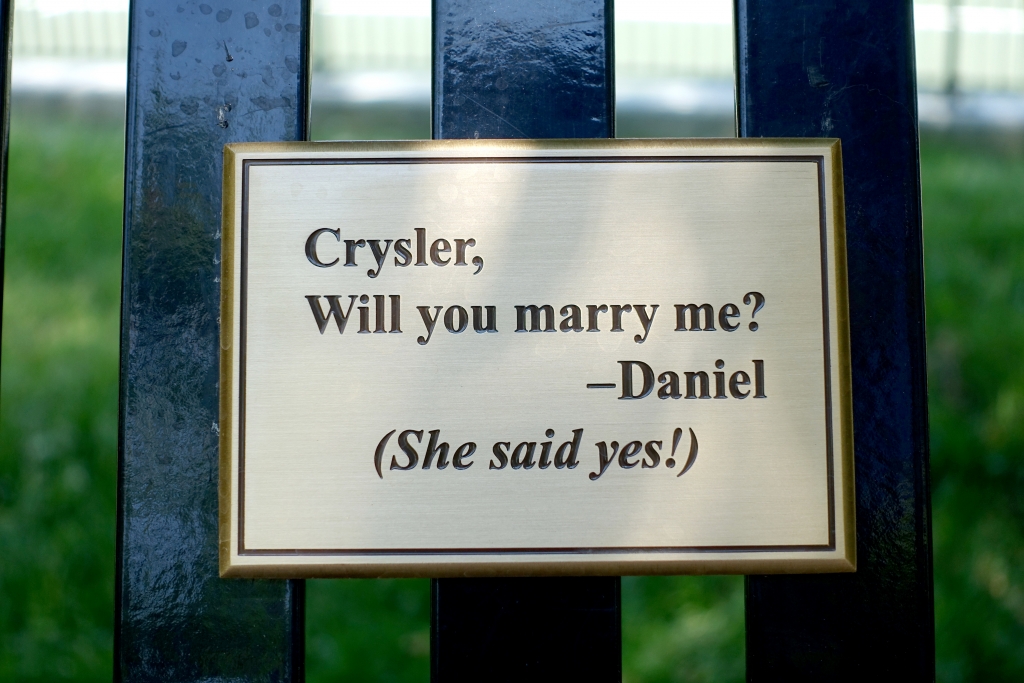 Marriage_proposal_answer_plack_on_U_of_T_bench