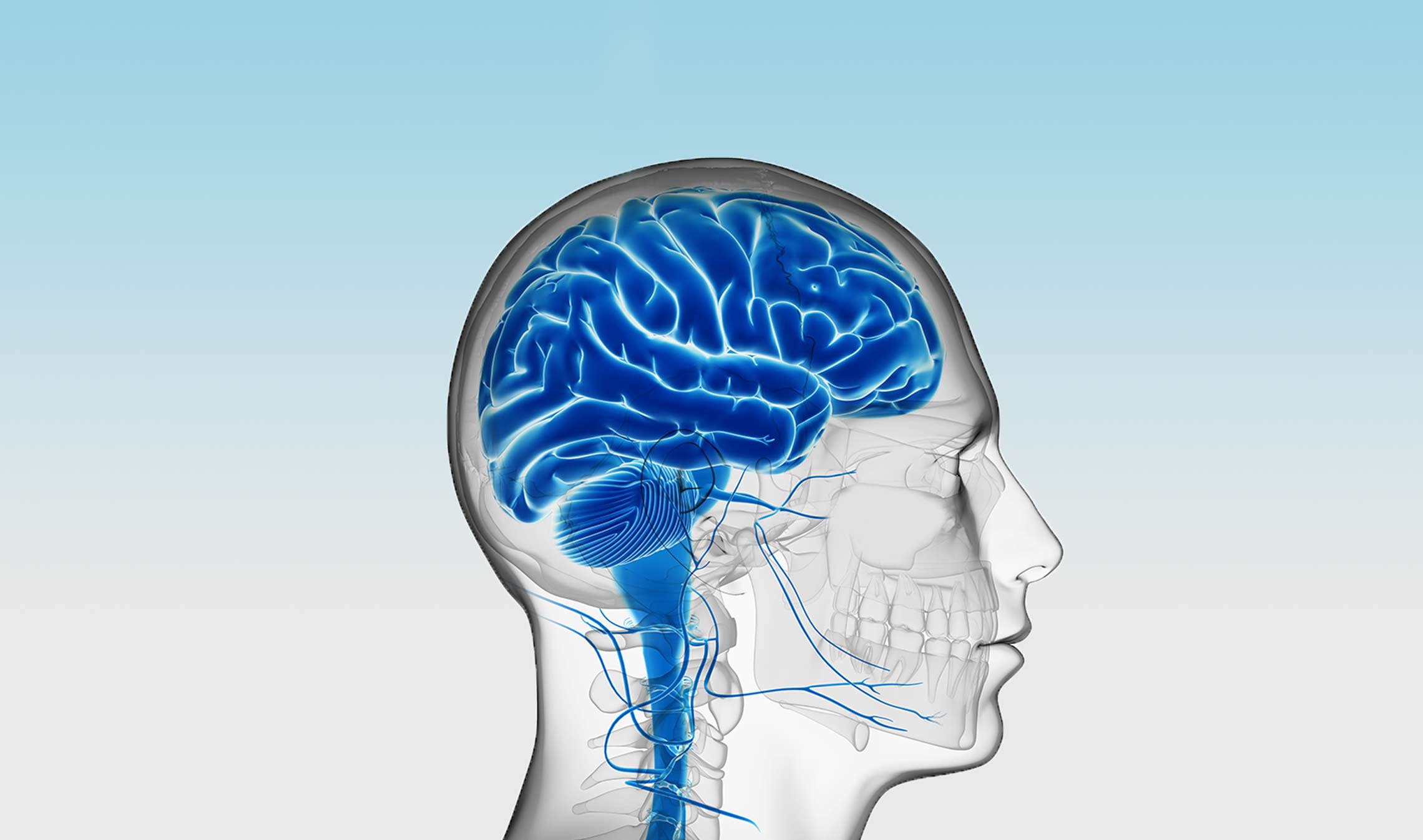 stem cell treatment for brain injury