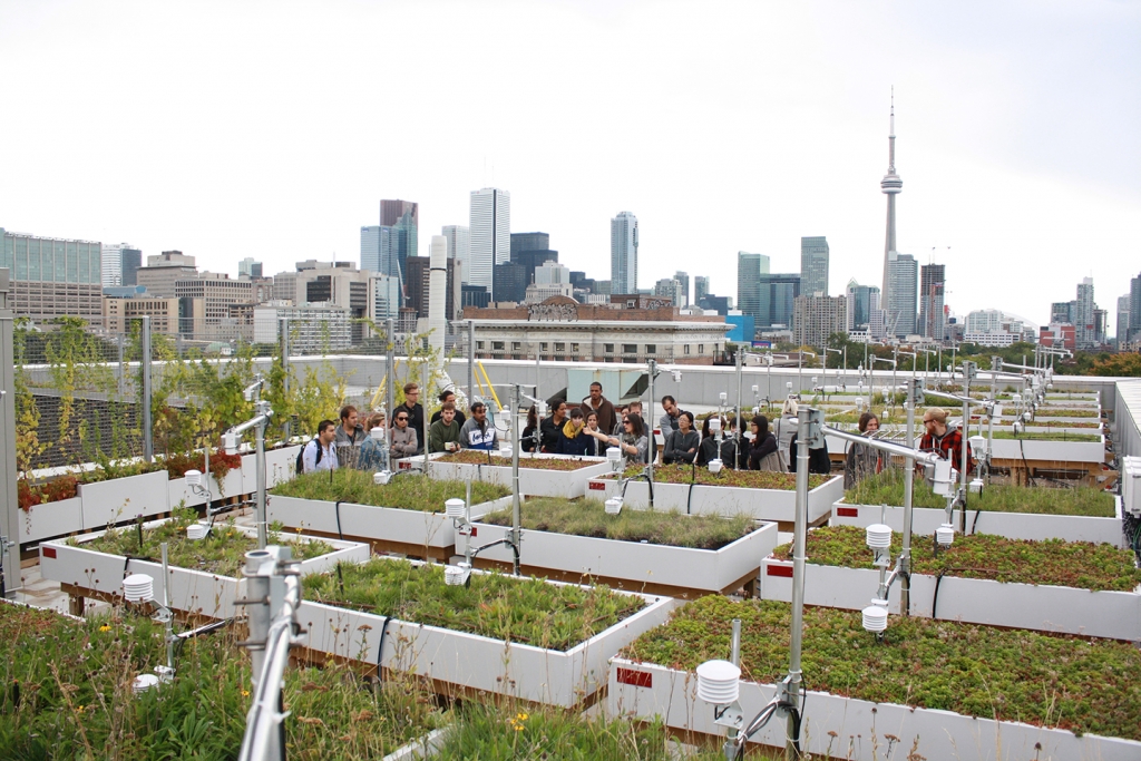 One Spadina Green Roof Innovation Testing Lab (GRIT)